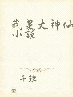 我是大神仙时江小说