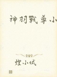 神羽战尊小说