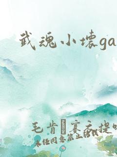 武魂小坏ga