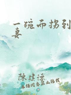 一碗面拐到美艳妻