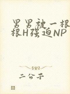 男男被一根又一根H强迫NP