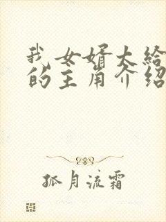 我女婿太给力了的主角介绍