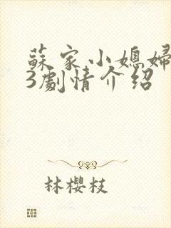 苏家小媳妇1v3剧情介绍