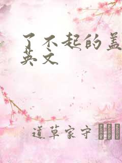 了不起的盖茨比英文