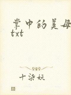 掌中的美母版主txt