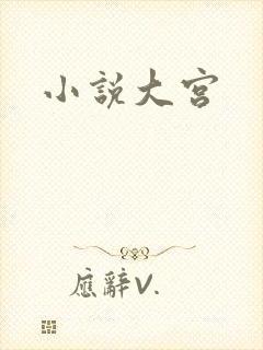 小说大宫