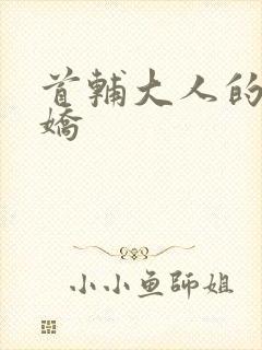 首辅大人的掌心娇