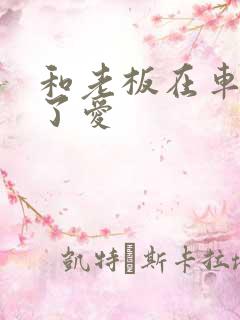 和老板在车里做了爱