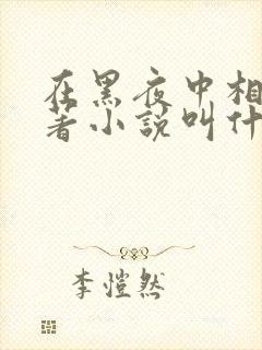 在黑夜中相拥原著小说叫什么