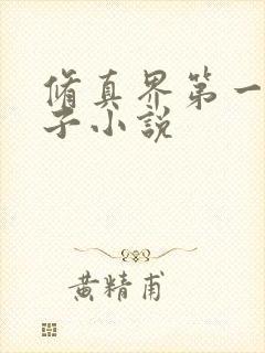 修真界第一病秧子小说