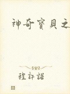 神奇宝贝之一辉