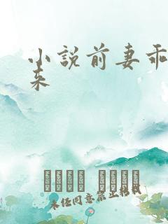 小说前妻乖乖回来