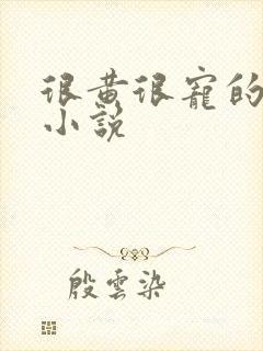 很黄很宠的总裁小说