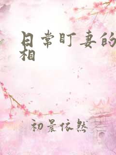 日常盯妻的小丞相