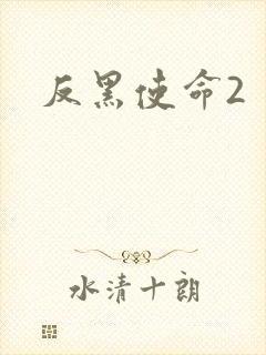 反黑使命2