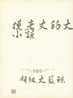摸老丈的大牛子小说