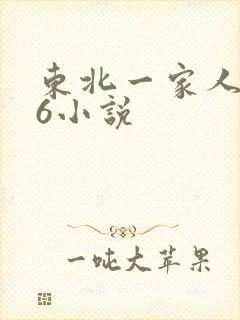 东北一家人1一6小说