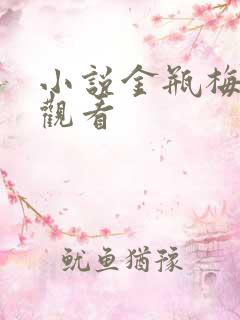 小说金瓶梅在线观看