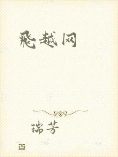 飞越网