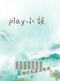 play小说