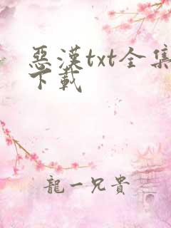 恶汉txt全集下载