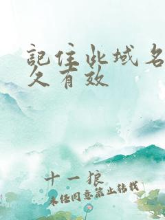 记住此域名记永久有效