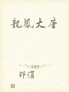 龙凤大唐