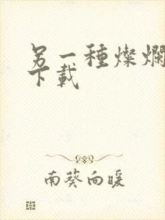 另一种灿烂生活下载