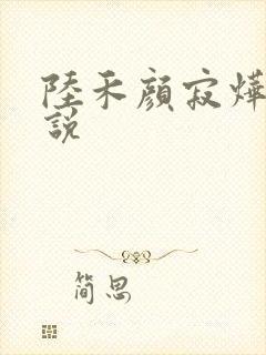 陆禾颜寂烨霖小说