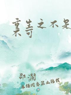 重生之不是非你不可