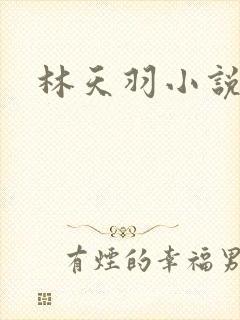 林天羽小说