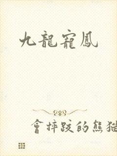 九龙宠凤