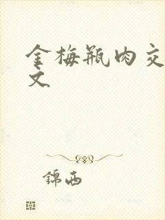 金梅瓶肉交白话文