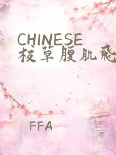 CHINESE校草腹肌飞机视频