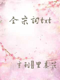 全宋词txt