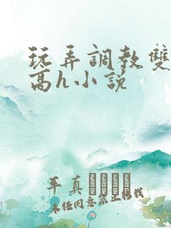 玩弄调教双胞胎高h小说