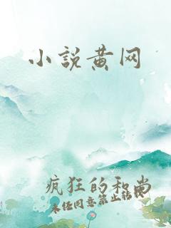 小说黄网