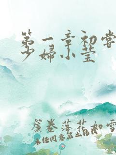 第一章初尝禁果少妇小莹