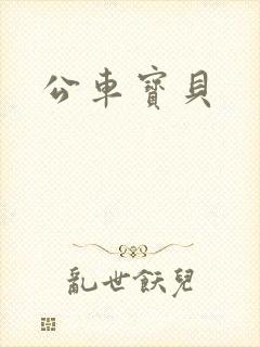 公车宝贝