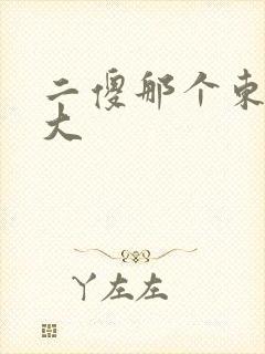 二傻那个东西真大