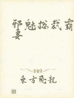 邪魅总裁霸占新妻