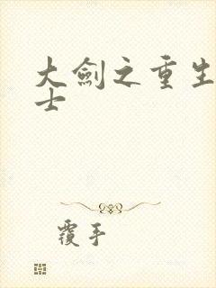 大剑之重生圣骑士