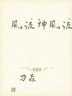 风流神风流记