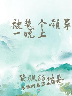 被几个领导玩弄一晚上