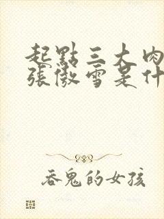 起点三大肉x器张傲雪是什么