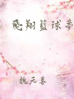 飞翔篮球梦下载