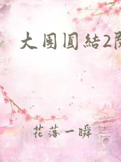 大团圆结2阅读