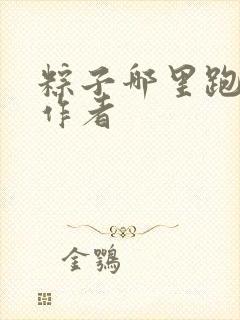 粽子哪里跑小说作者