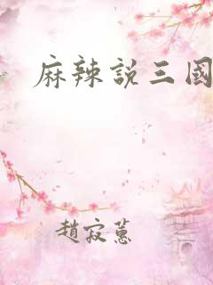 麻辣说三国