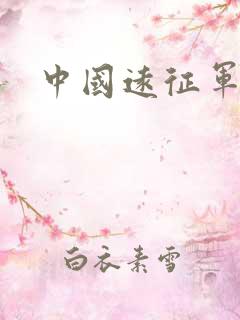 中国远征军下载